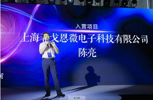 實(shí)力不容小覷的25家中國芯企業(yè) 硬核實(shí)力與計(jì)算機(jī)軟硬件技術(shù)開發(fā)深度剖析